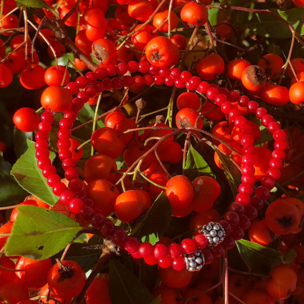 Berry Season