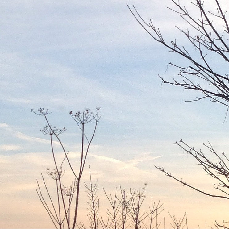 New Blog